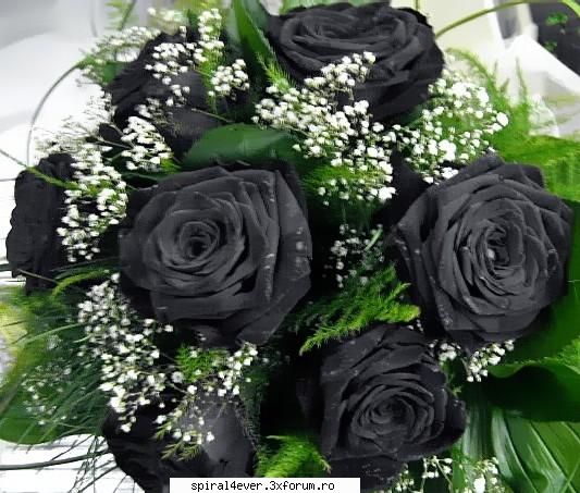 sf.valentin - ~InGerUl Lui Ady-SaMa~ - la mUlti ani!